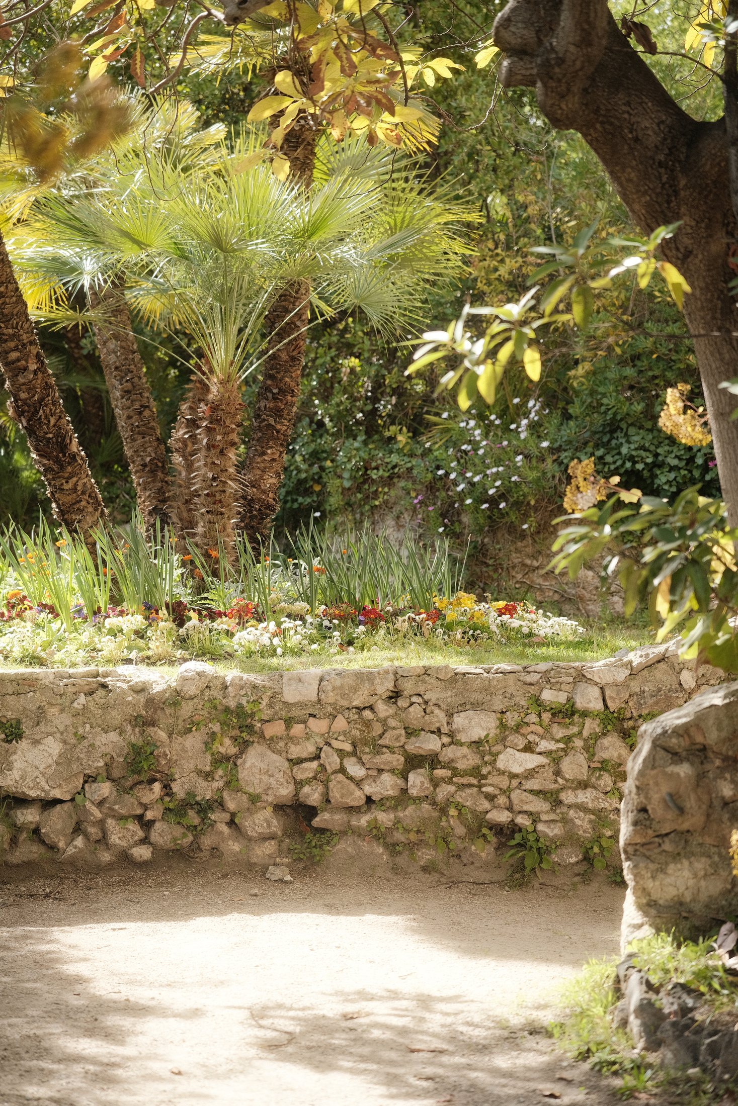 Plantes vertes de jardin et détails d'ombre et de lumière